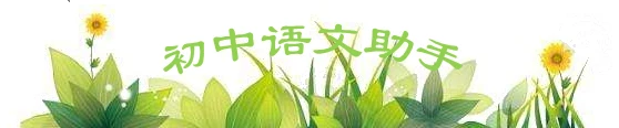 职业球员如何通过联赛提升竞技水平_0